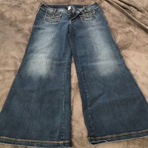 Silver Jeans Starr Flare Wide Leg Jeans 34